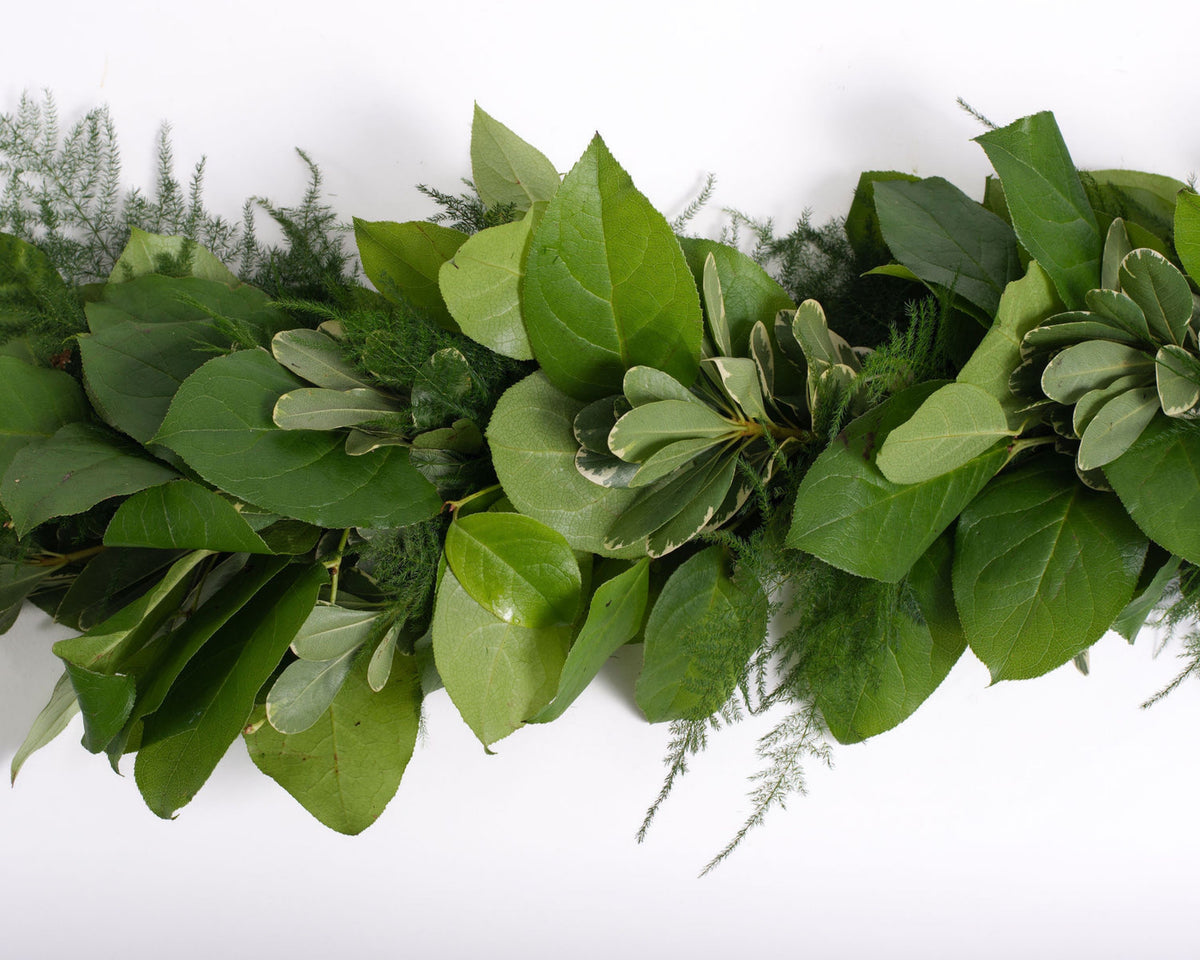 Salal, Variegated Pittosporum, and Plumosus Garland