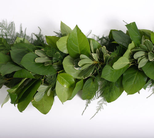 Salal, Variegated Pittosporum, and Plumosus Garland