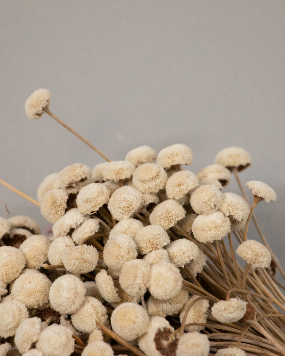 Button Flowers