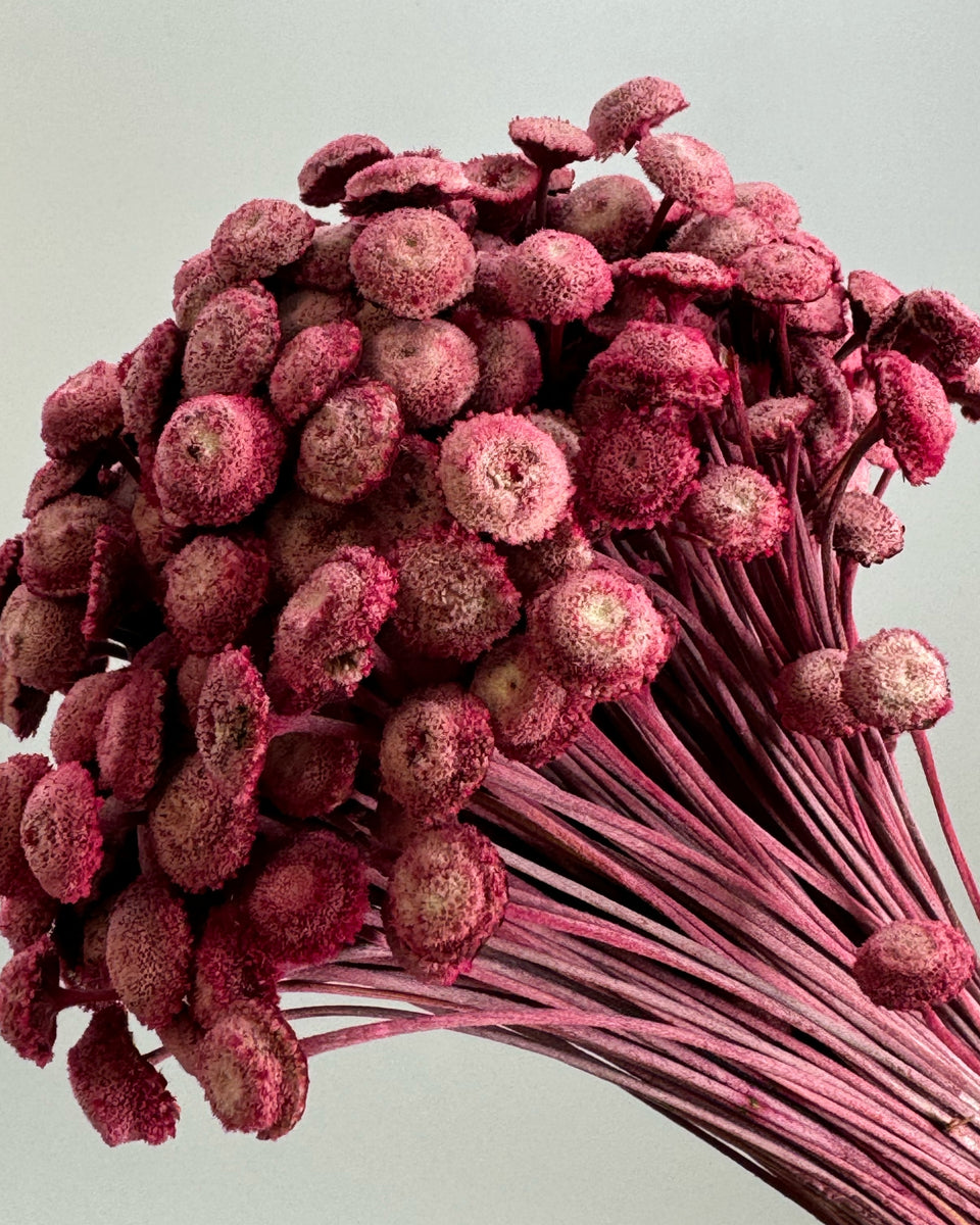 Button Flowers