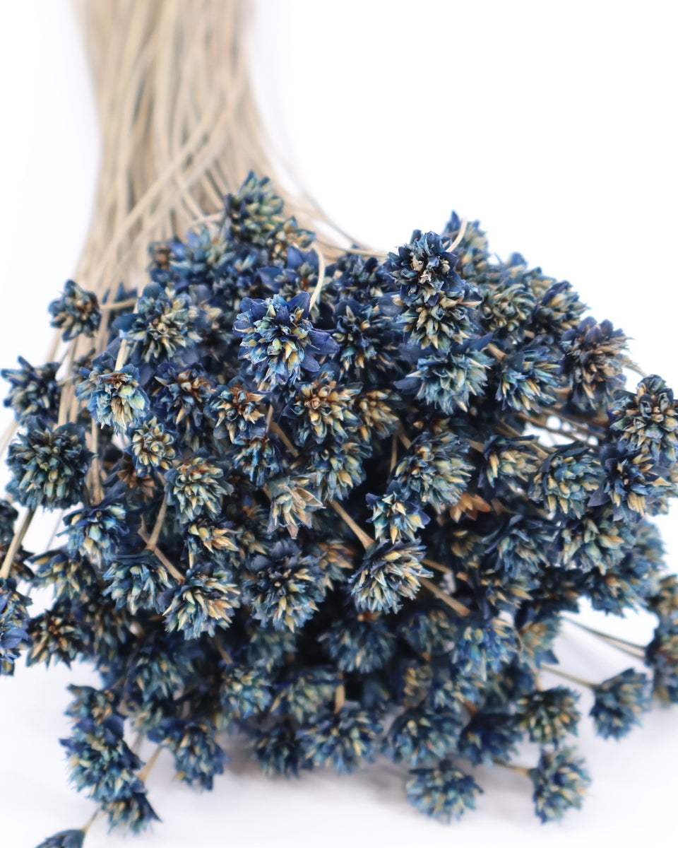 Hill Flower Preserved Bouquet