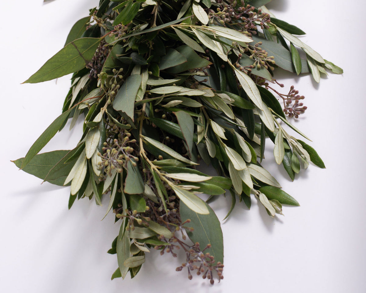 Olive Leaf and Seeded Eucalyptus Garland