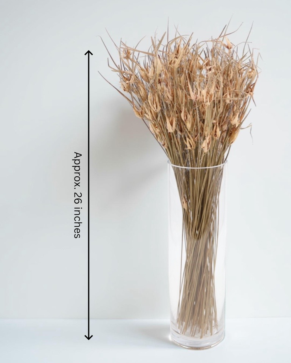 Tulip Star Grass Preserved Bouquet