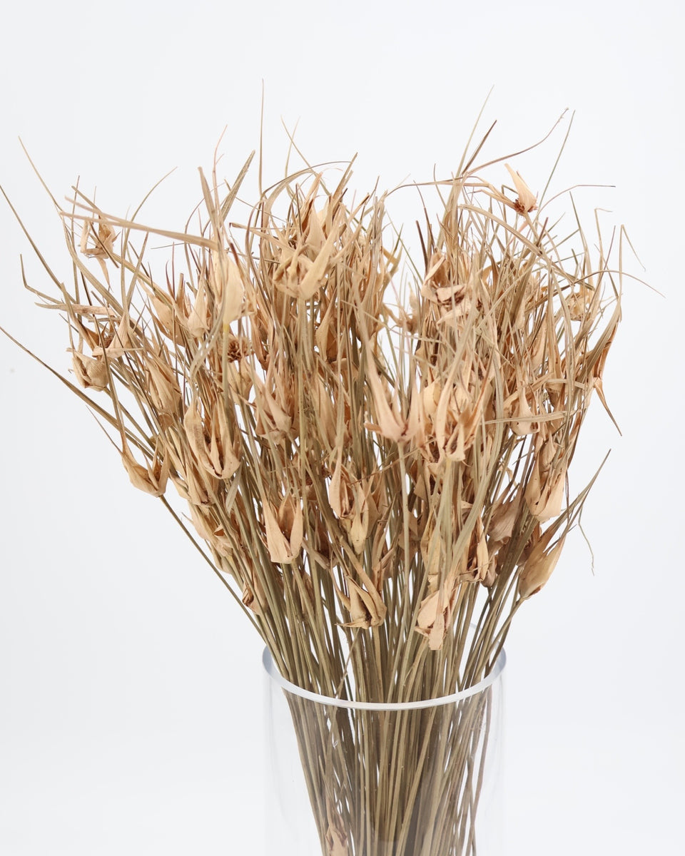 Tulip Star Grass Preserved Bouquet