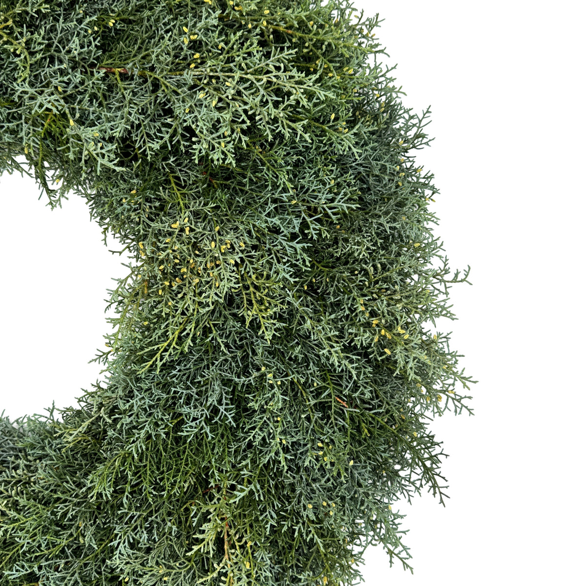 Carolina Sapphire Cedar Wreath