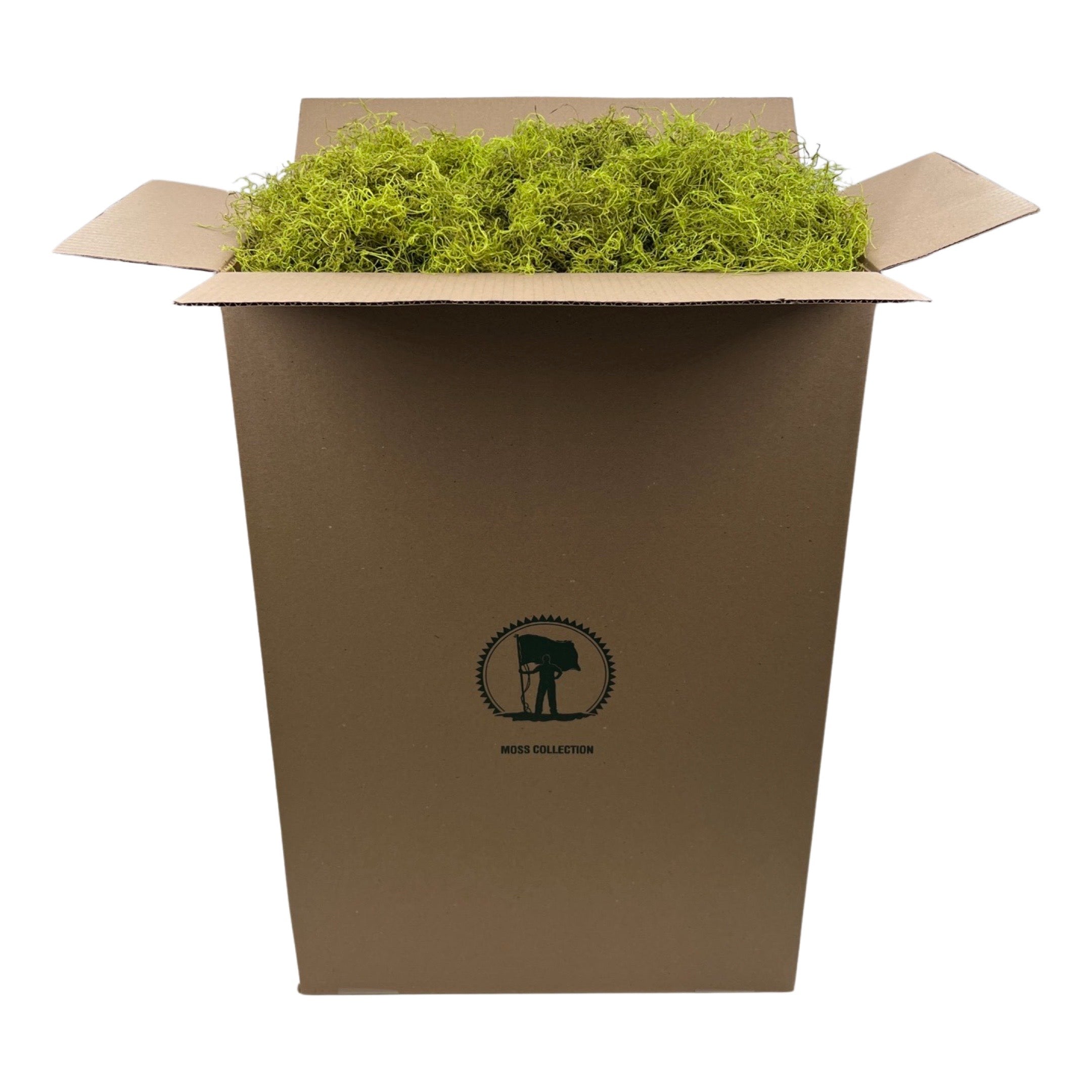 Dried Spanish Moss - Buy Spanish Moss Online - Preserved Spanish