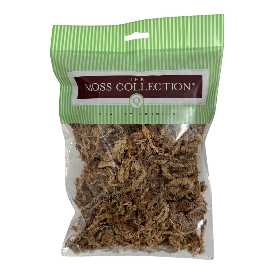 Chilean Sphagnum Moss