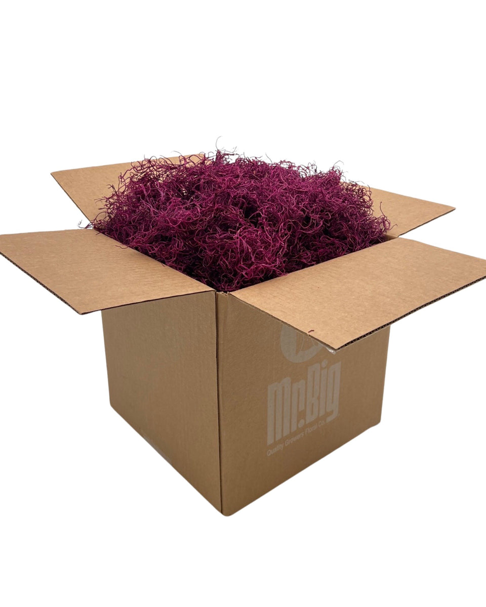 Preserved Spanish Moss