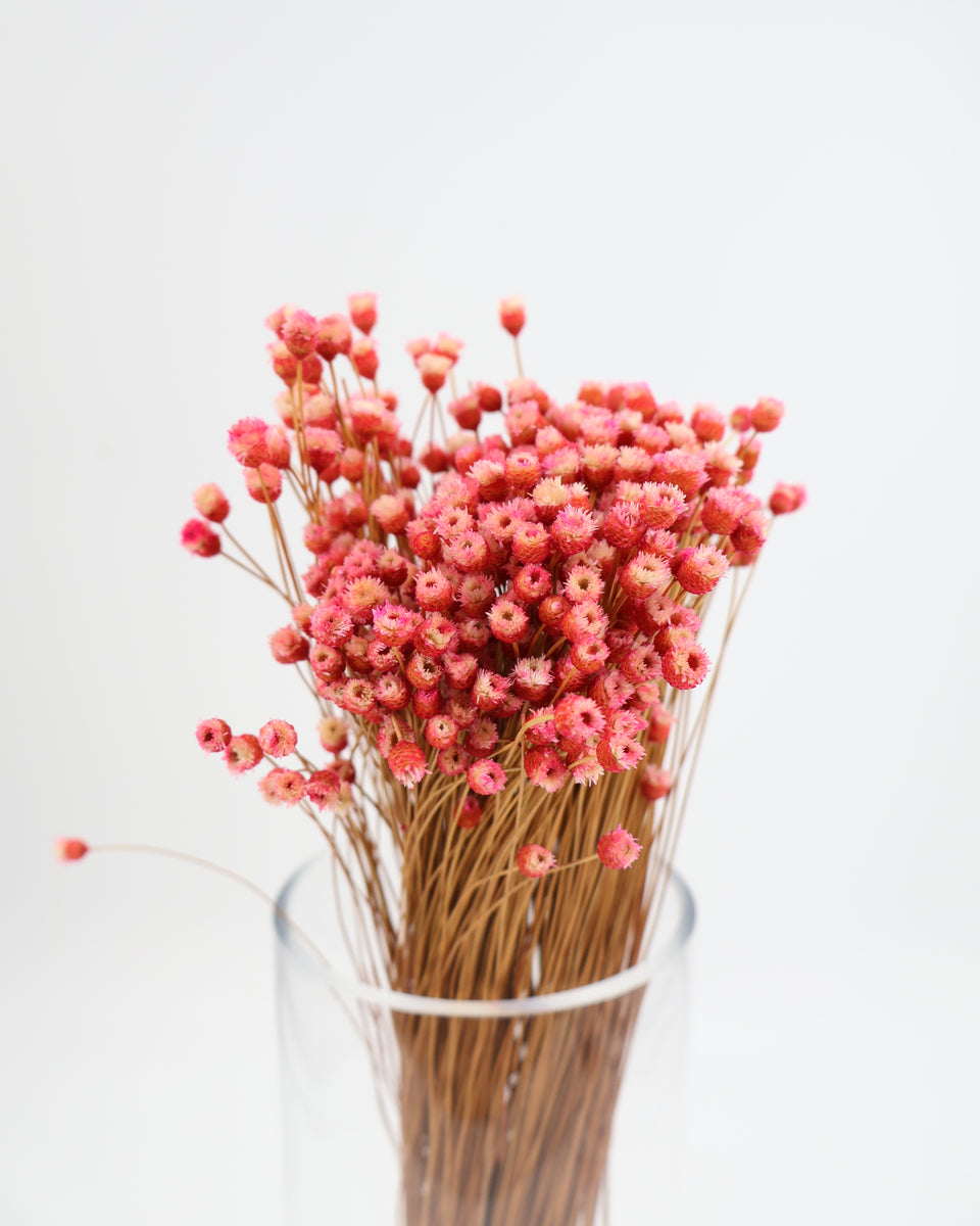 Happy Flower Preserved Bouquet