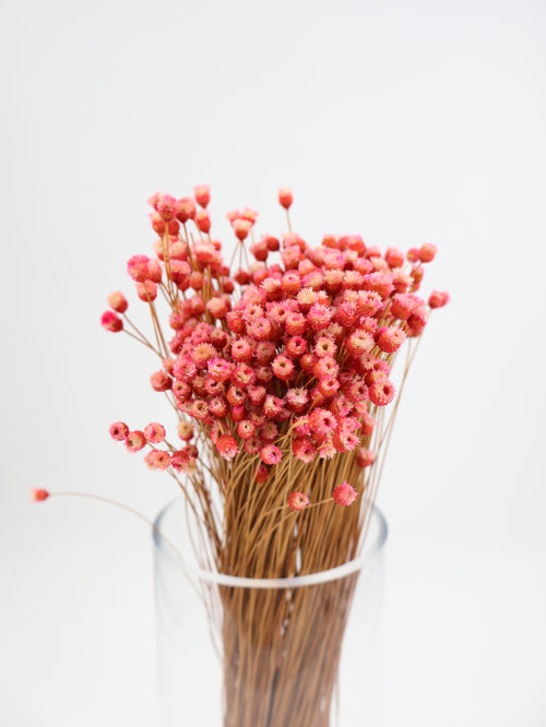 Happy Flower Preserved Bouquet