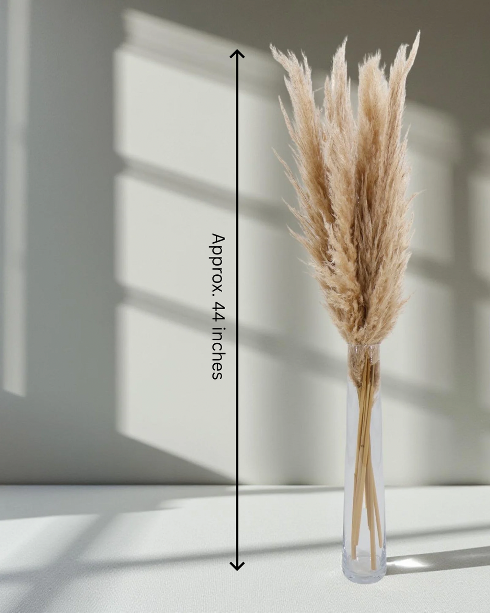 Pampas Grass 6 Stem Preserved Bouquet