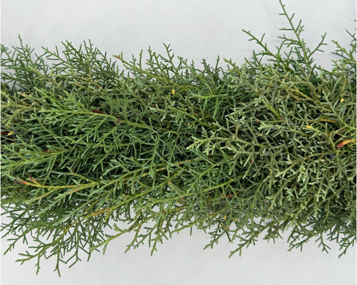 Sapphire Cedar Garland