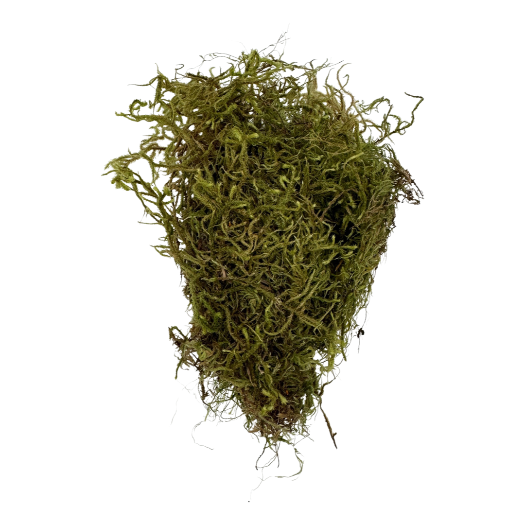 Green Tree Sphagnum – Quality Growers Floral Company