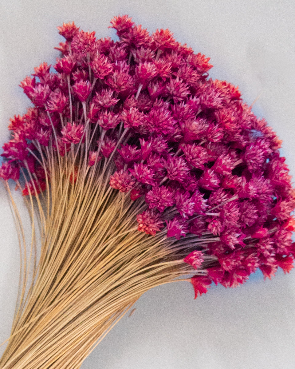 Hill Flower Preserved Bouquet