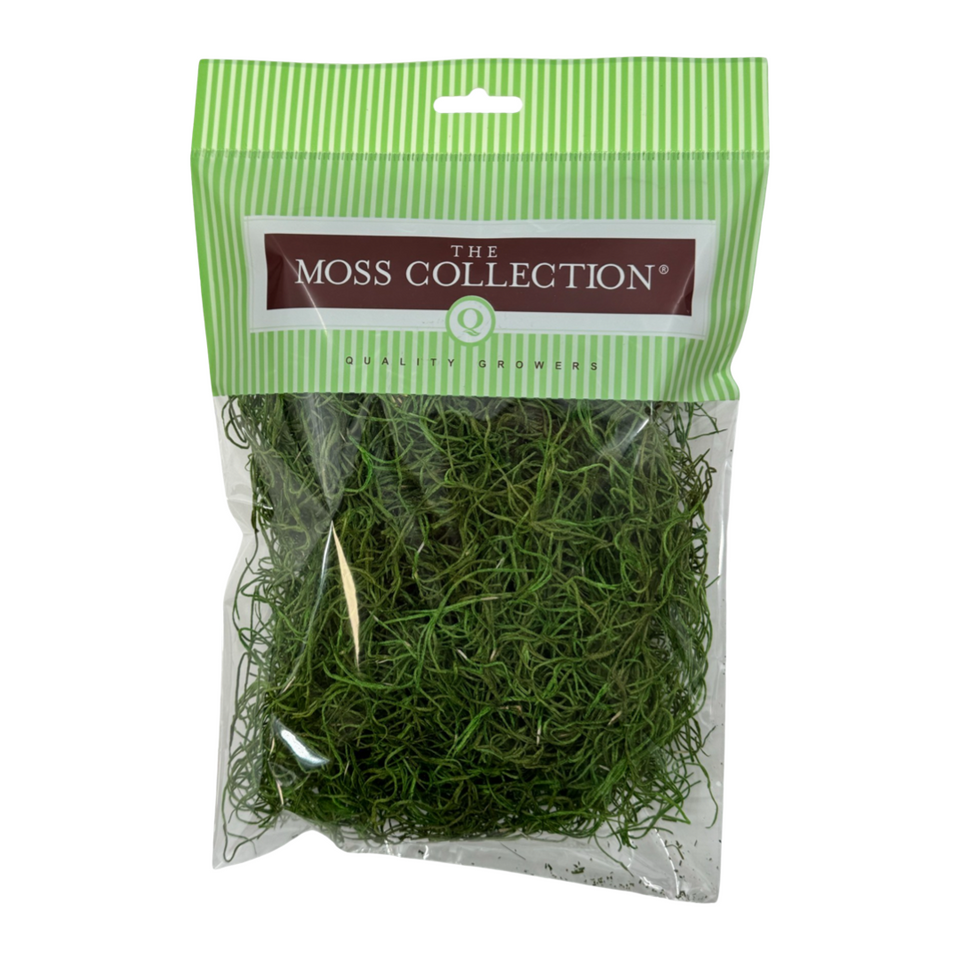 Preserved Spanish Moss