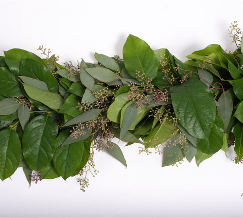 Seeded Eucalyptus and Salal Garland