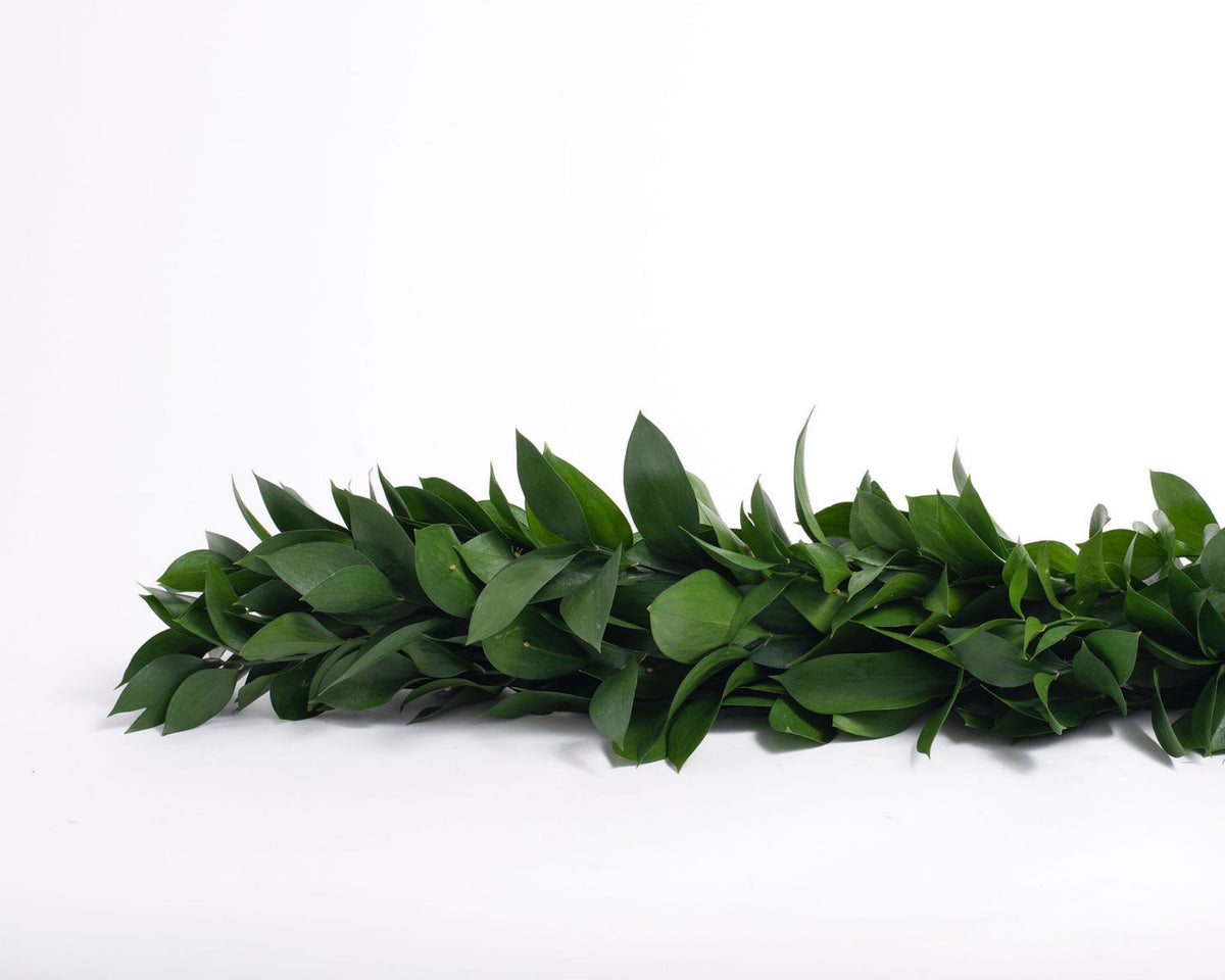 Ruscus Garland