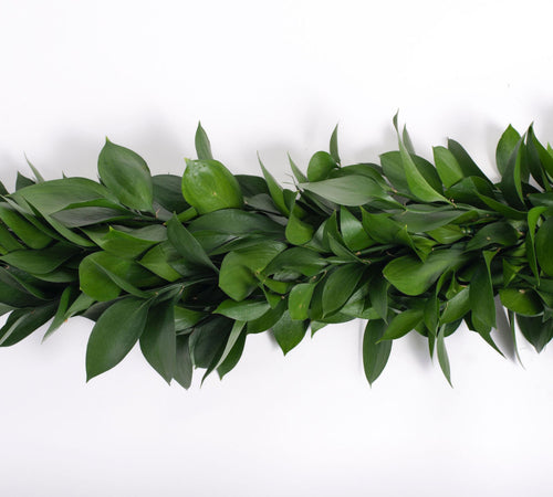 Ruscus Garland