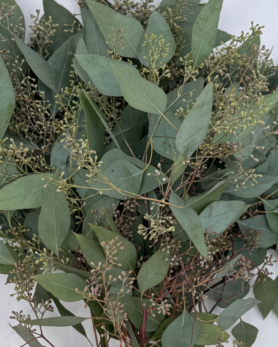 Seeded Eucalyptus Bunches