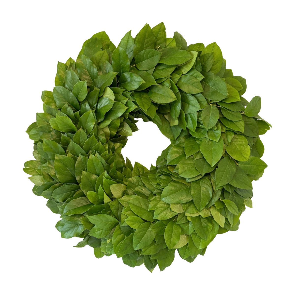 Salal Wreath