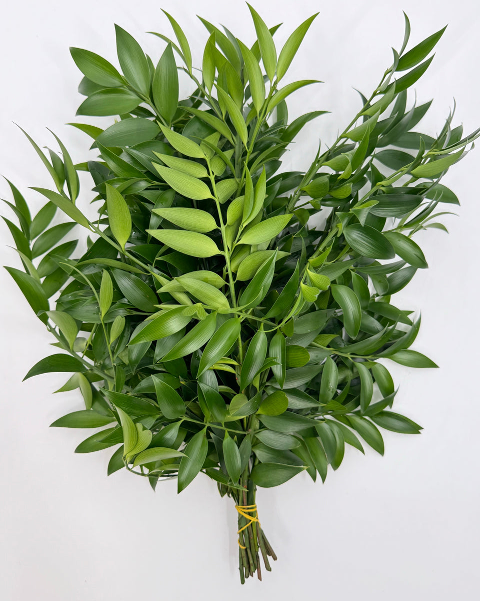 Nagi Bunches