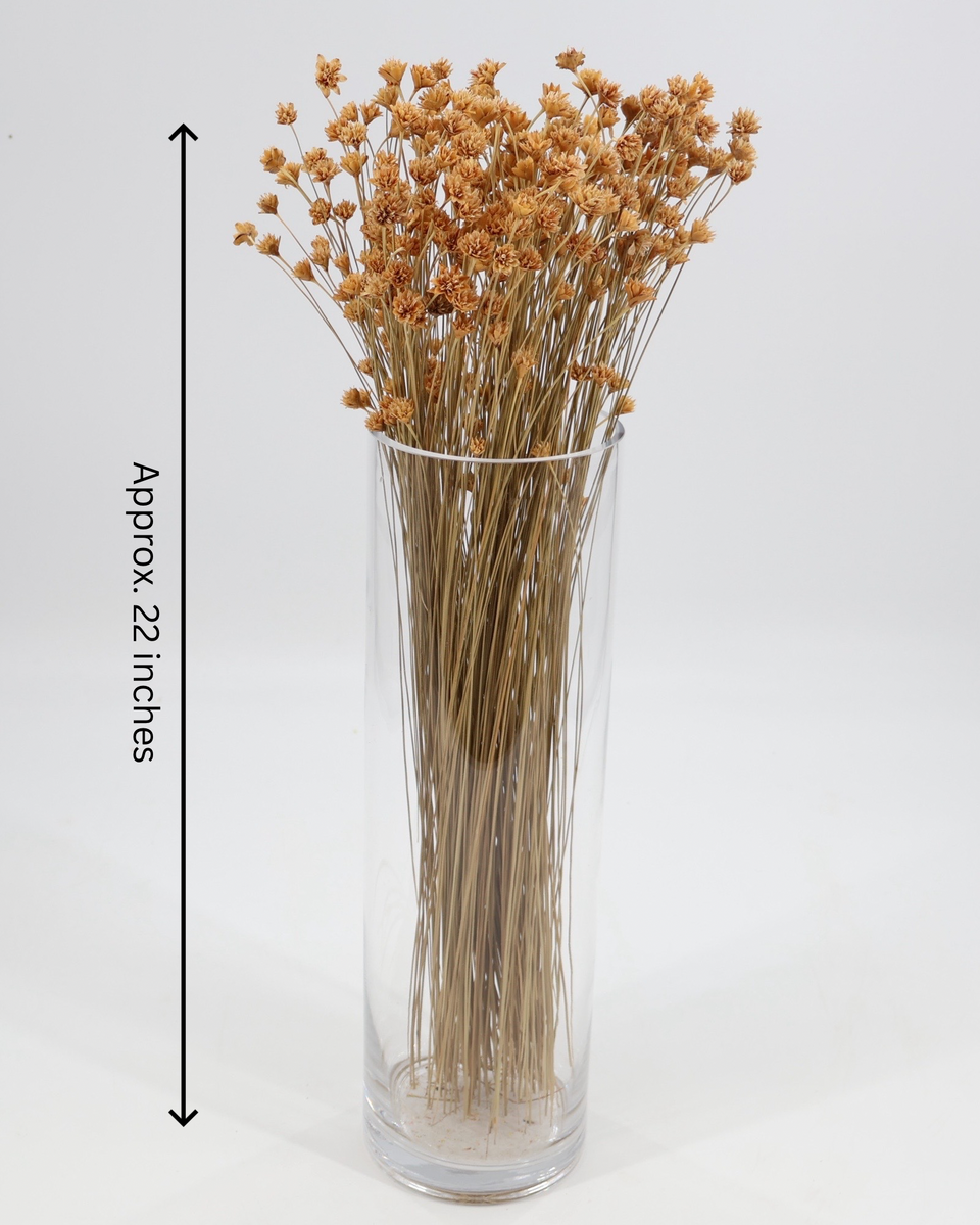 Hill Flower Preserved Bouquet