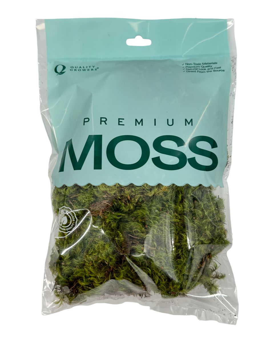 Mood Moss