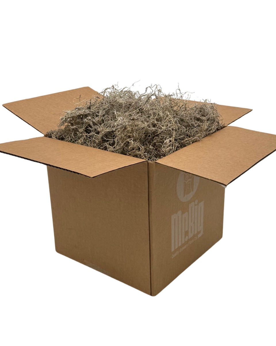 Preserved Spanish Moss