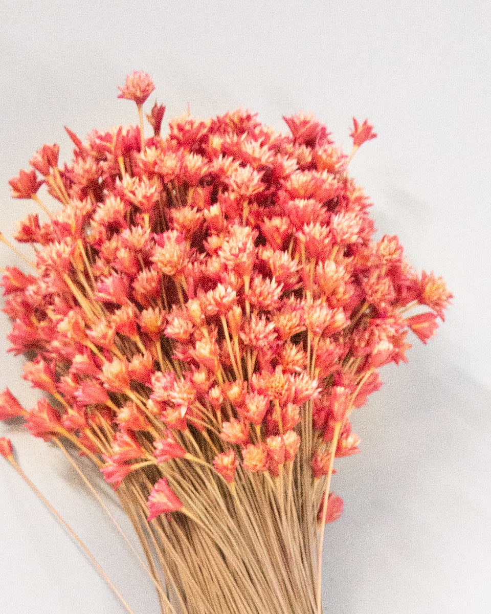 Hill Flower Preserved Bouquet