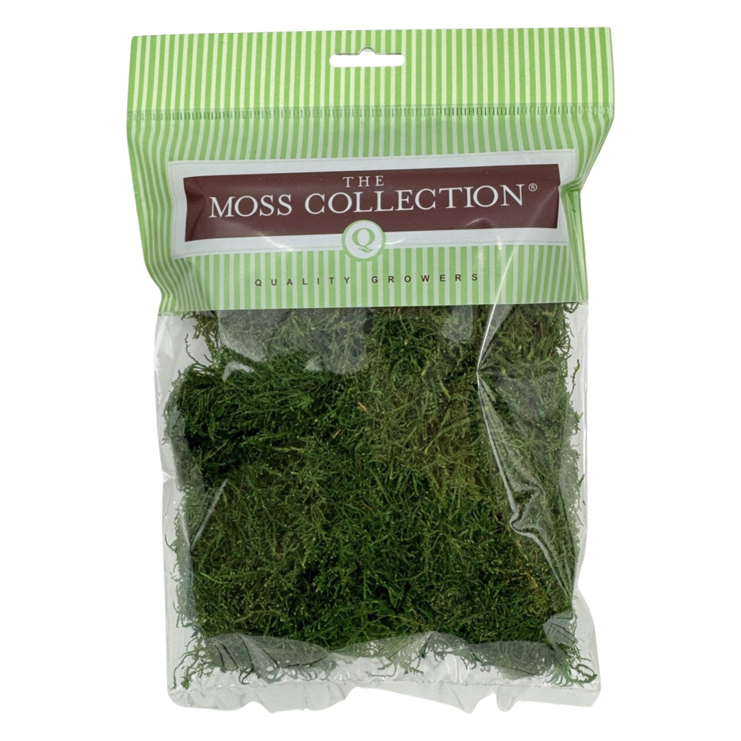 Sheet Moss - Quality growers Floral Co. - Natural and Preserved Sheet Moss  – Quality Growers Floral Company