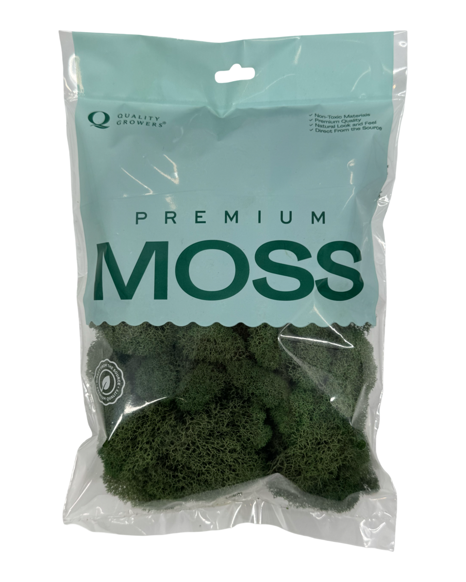 Preserved Reindeer Moss