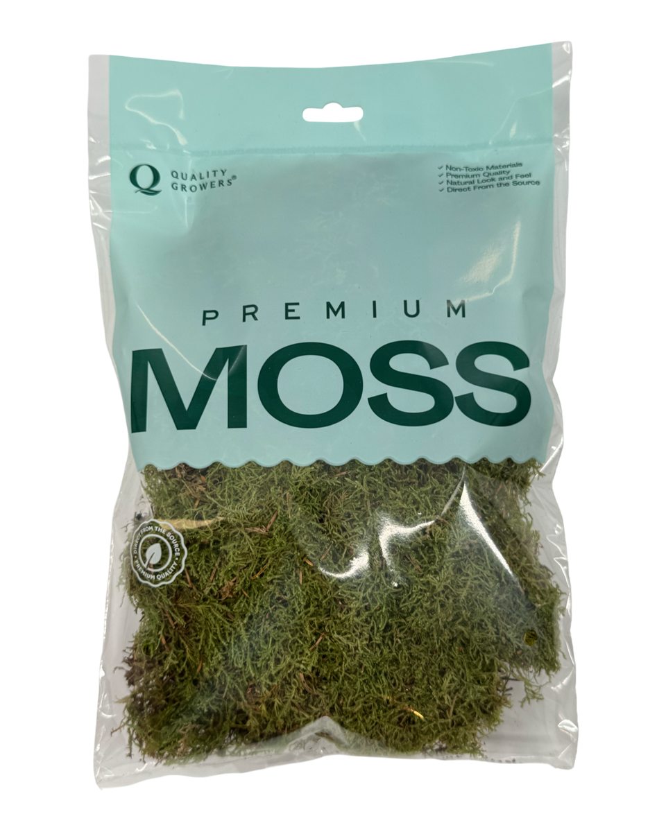 Sheet Moss