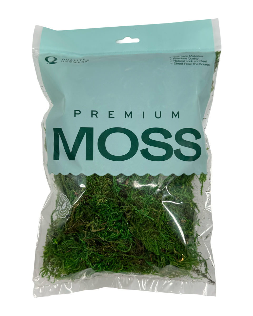 Sheet Moss
