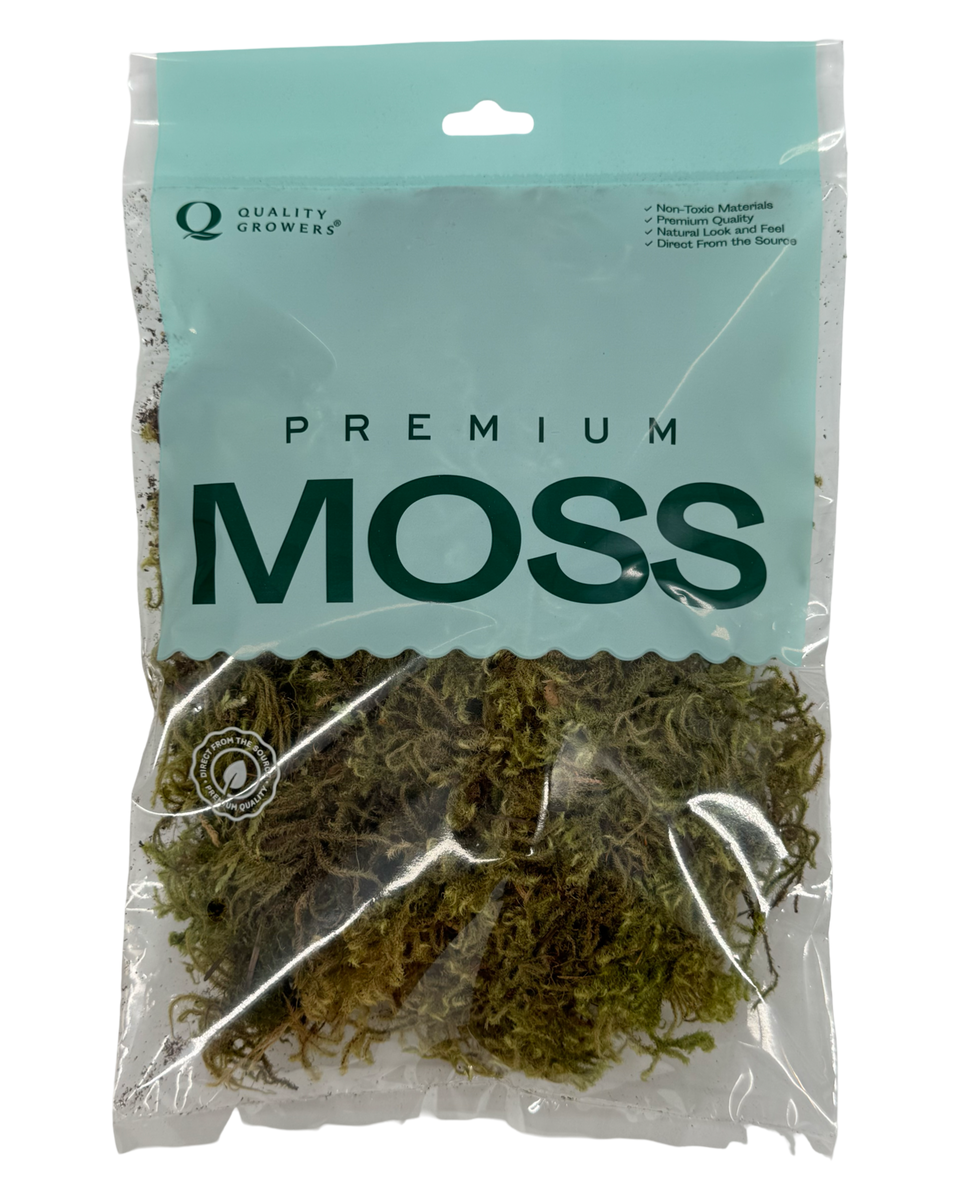Green Tree Sphagnum