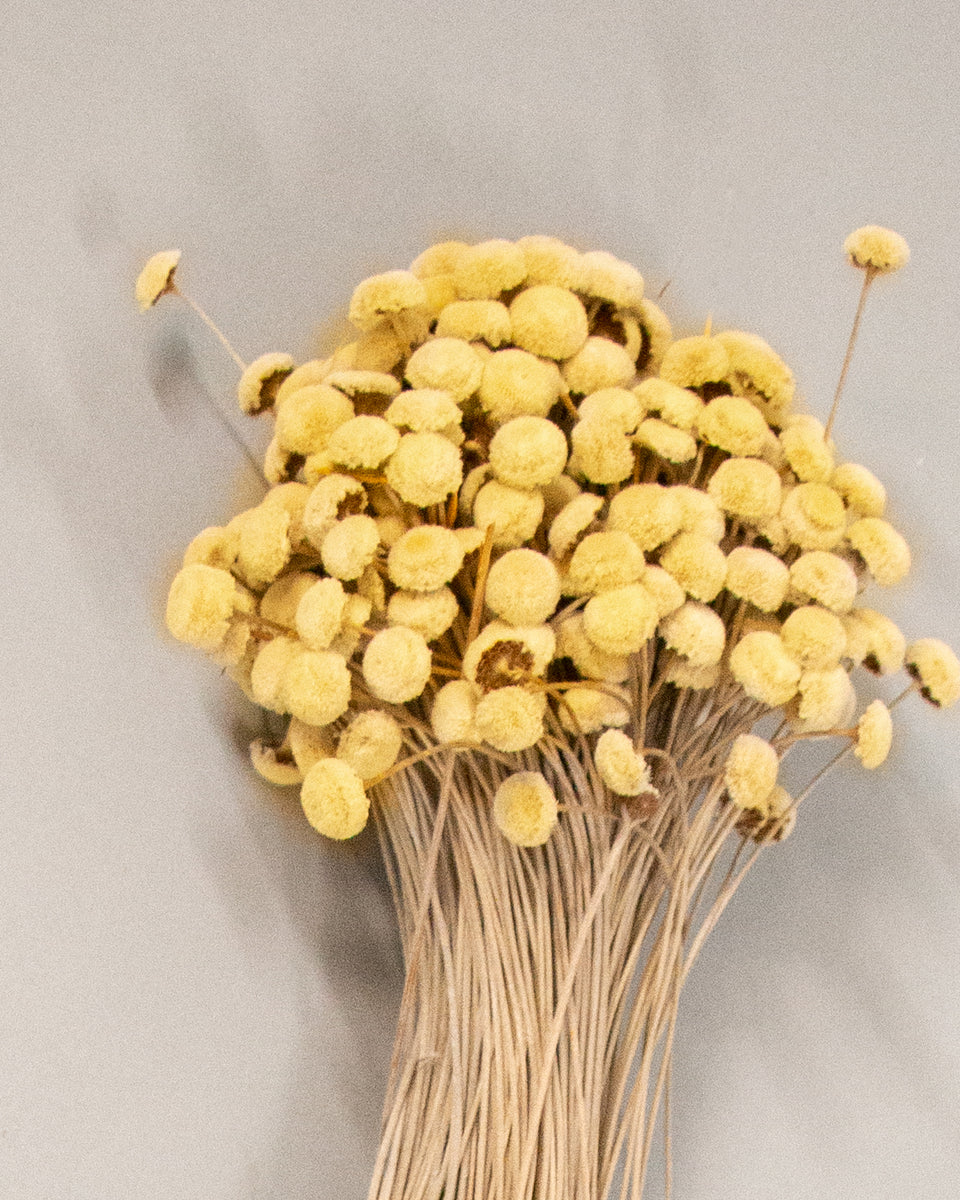 Button Flowers