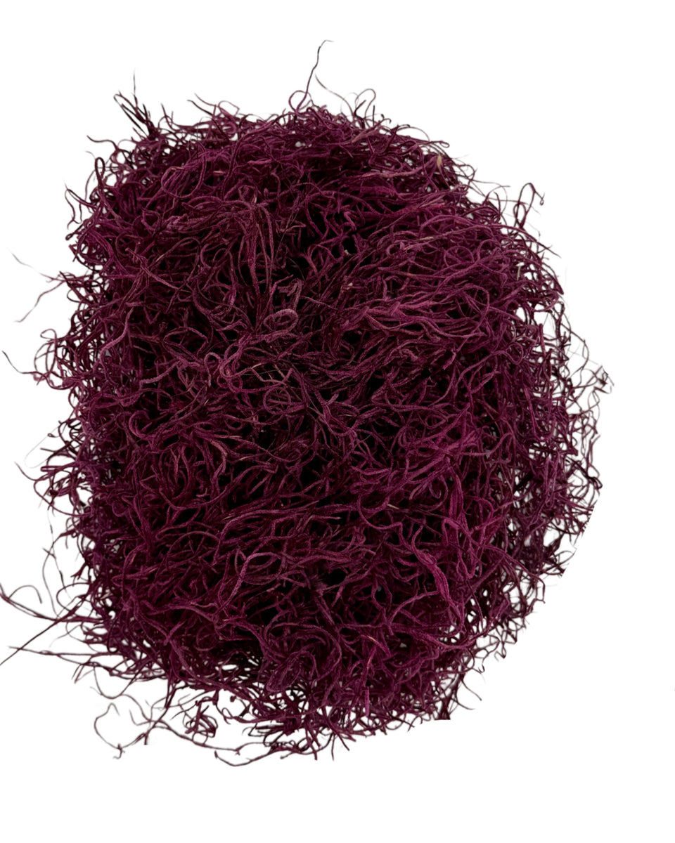 Preserved Spanish Moss