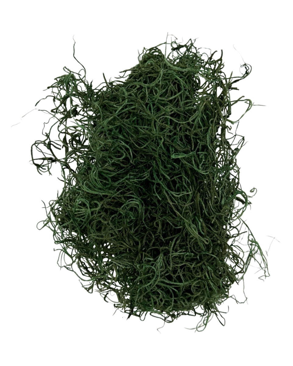 Preserved Spanish Moss