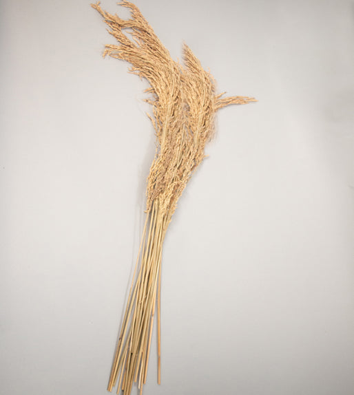 Rice Grass Preserved Bouquet