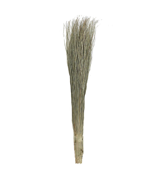 Silver Grass Preserved Bouquet