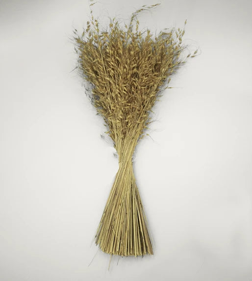 Arrow Grass Dried Bouquet