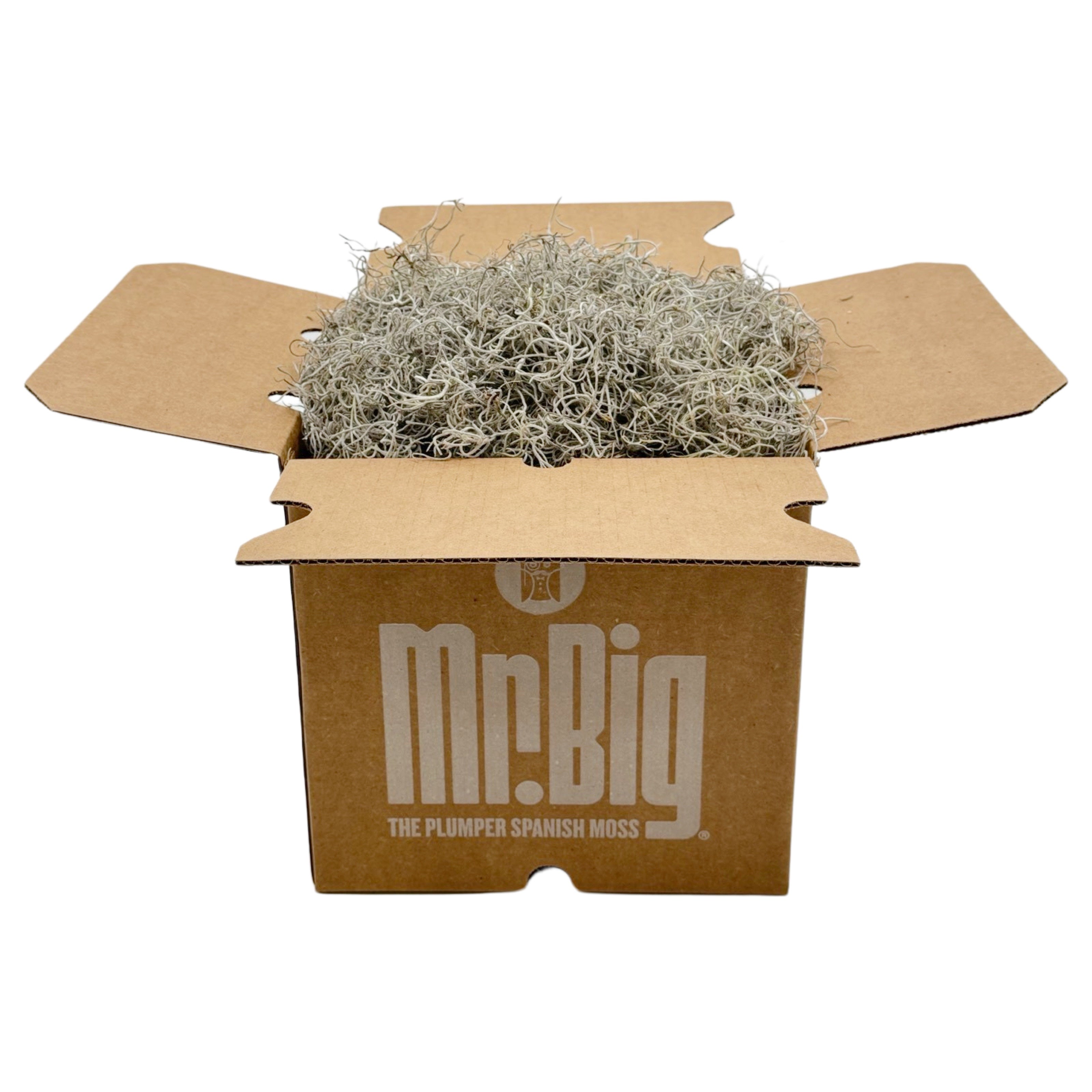 Mr. Big Fresh Spanish Moss – Quality Growers Floral Company