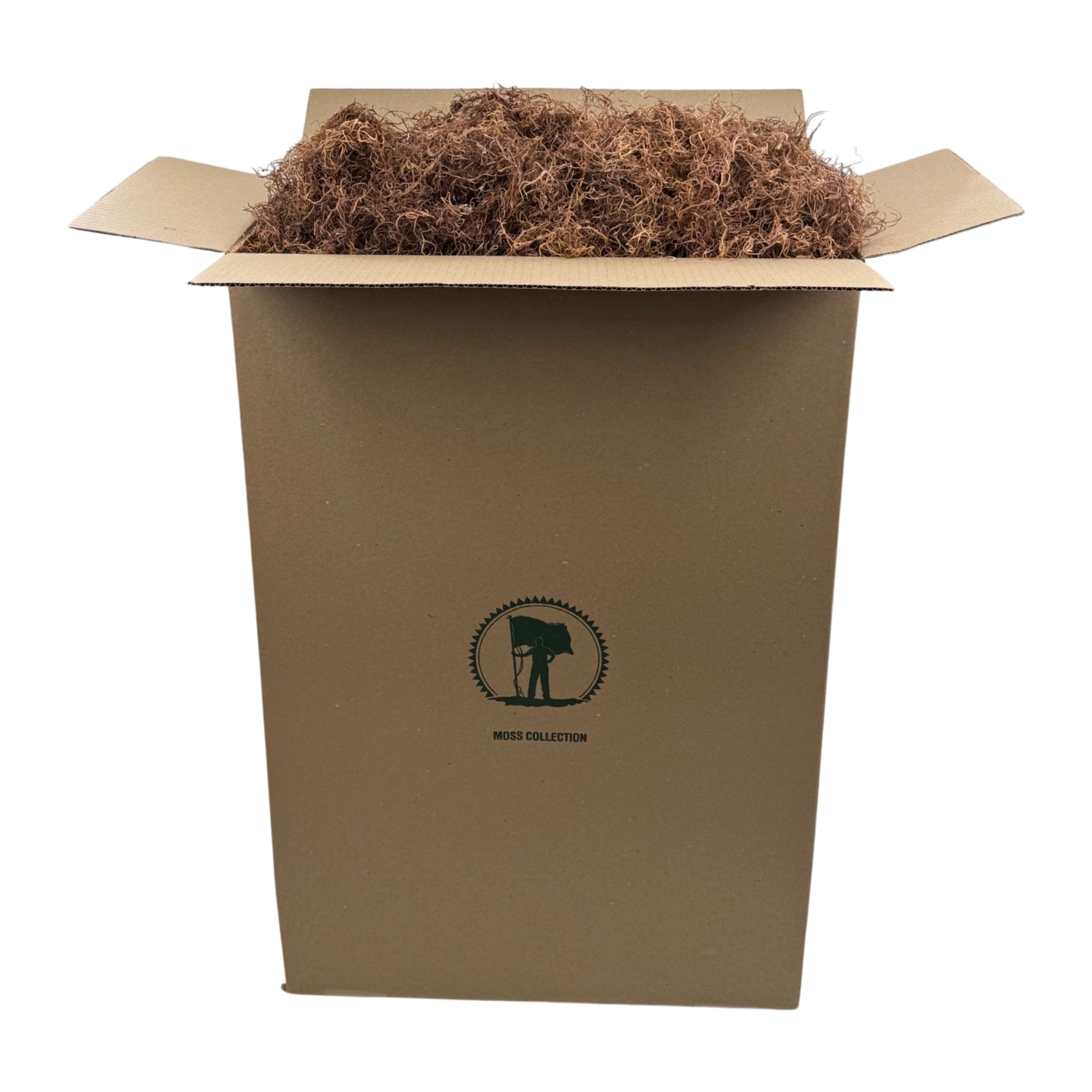 Dried Spanish Moss - Buy Spanish Moss Online - Preserved Spanish