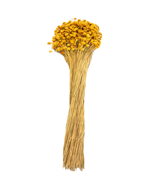 Hill Flower Preserved Bouquet