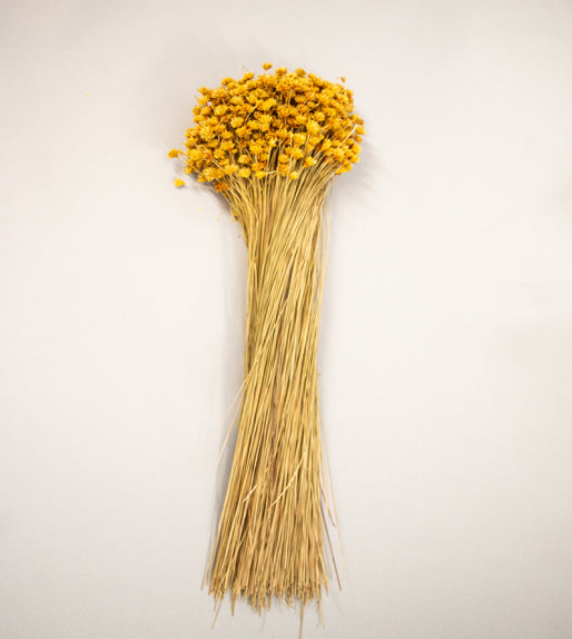 Hill Flower Preserved Bouquet