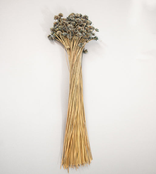 Hill Flower Preserved Bouquet