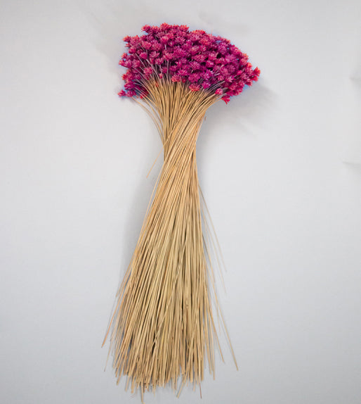 Hill Flower Preserved Bouquet