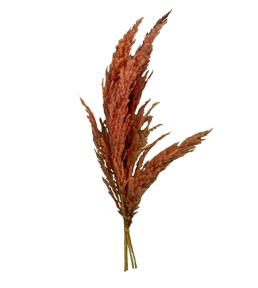Pampas Grass 6 Stem Preserved Bouquet
