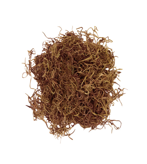 Preserved Spanish Moss