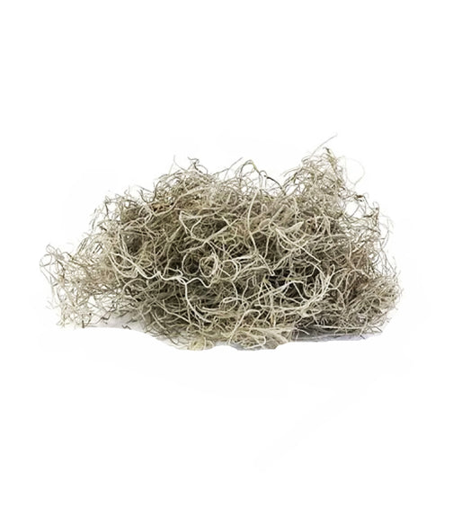 Preserved Spanish Moss
