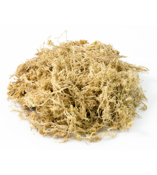 Chilenisches Sphagnum-Moos – Premium-Qualität, 250 G – Natürliches Substrat Für Orchideen & Bonsai